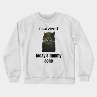 I Survived Today's Tummy Ache Funny Army Cat Tummy Ache Meme Crewneck Sweatshirt